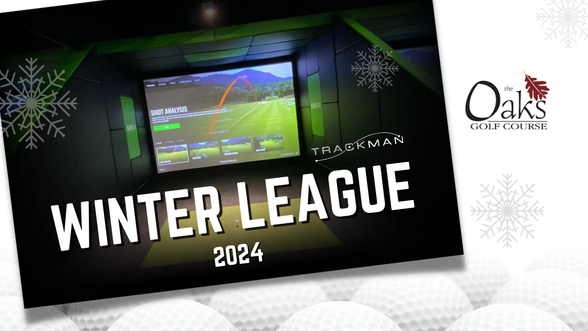 Winter League Indoor Golf Simulator